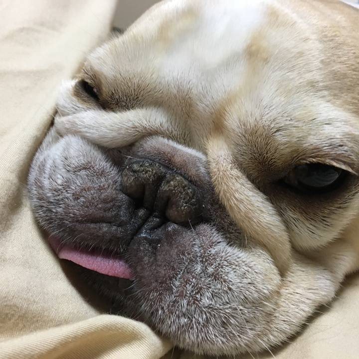 1281d258 53ec 424c b429 d2efdd4d6615