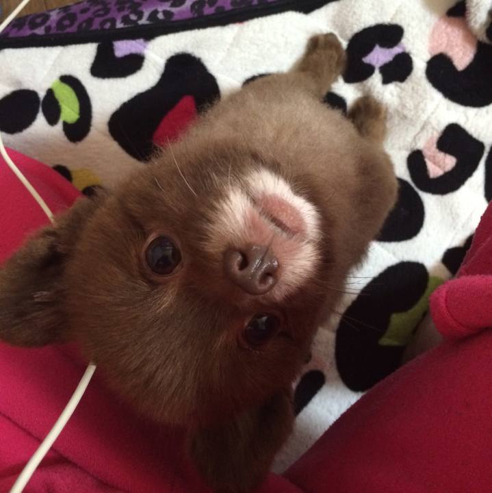 128233ae 00a5 4b17 857c b448af8e7232