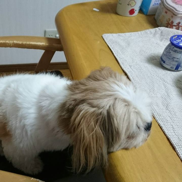 12825b06 5329 4c50 a036 ceec6df05255