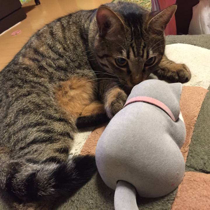 12829cf9 2d5b 49dd bd5f f9e9f1b76141