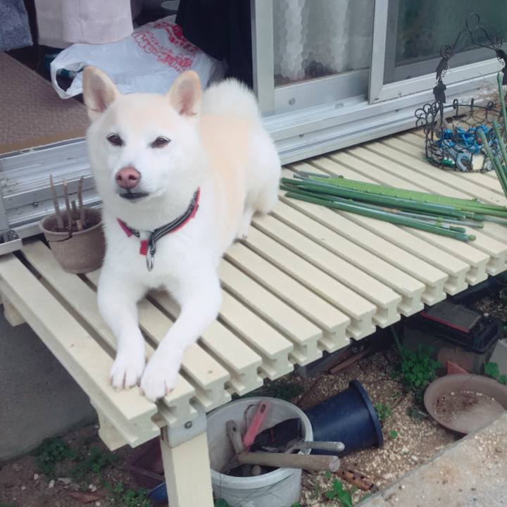 12834a44 c0c0 497f a54f 3704d68ed48a