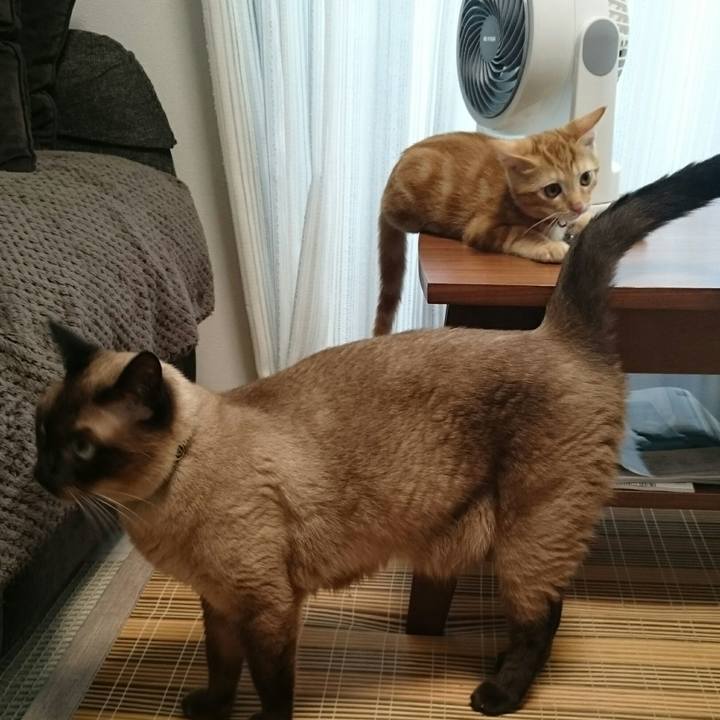 128356a8 a531 4cd2 afe9 028ba990bbc3