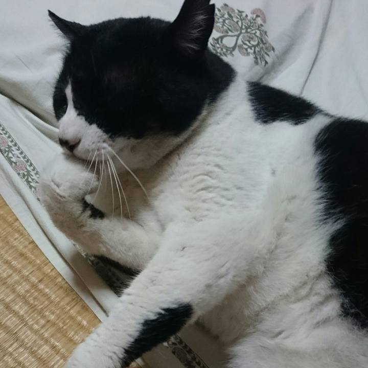 1283d753 26de 4397 92ca d2cf1db5ac2e