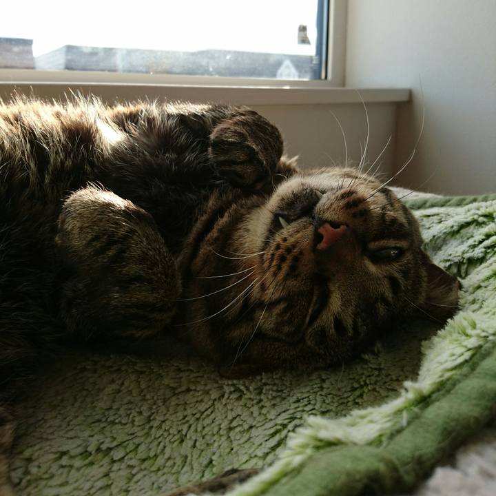 1283e660 9509 4efd 92e1 03399b8c74a5