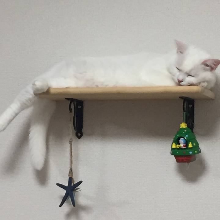 1284054e 3206 46d6 9e2b aad8423351bd