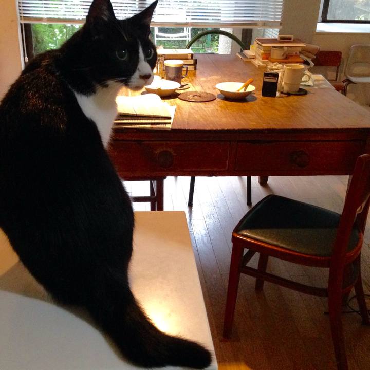 1284e627 74d4 4d95 8ad1 44d4ebd65253