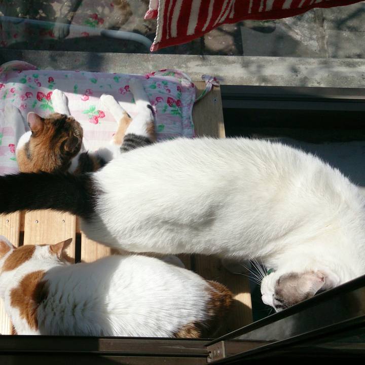 1284f065 a38b 4f6f a637 a8b34ea69c5f