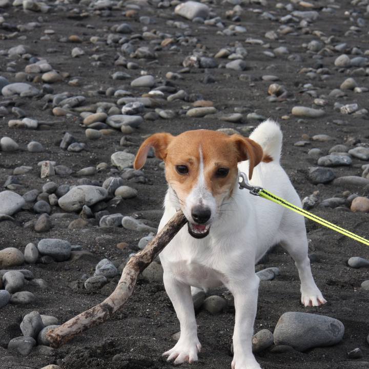 12857a7e 7f12 4d7a bf70 2217319b1799