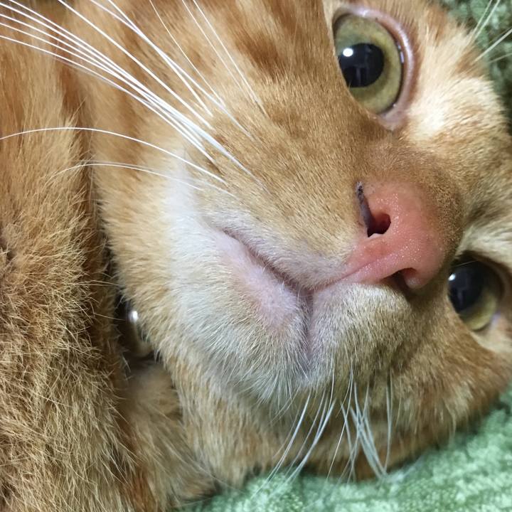 1285b158 3433 4ad9 ad39 2375ce812b8a