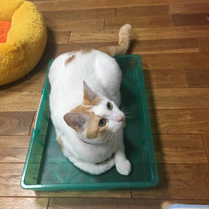 1285d4b1 b1df 45a0 b5e4 6087de910bd0