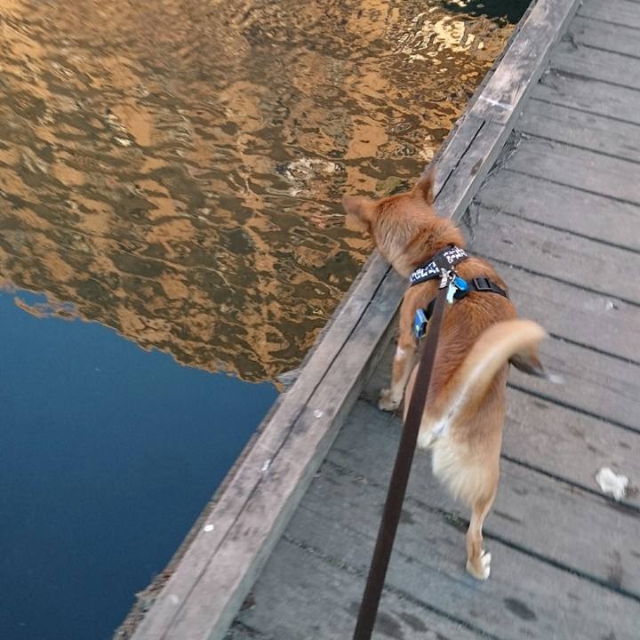 1286089b 89d0 4723 bfd7 e9fc1108795f