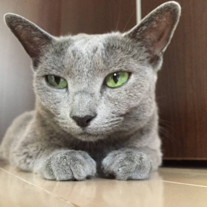 12865669 7029 4ca5 a95a 1de5eb785f90