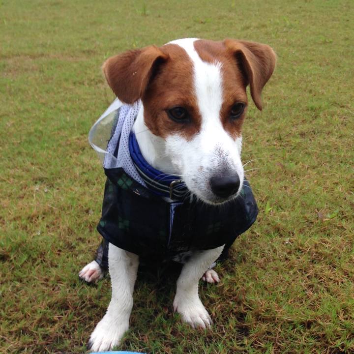 12866ccf 8eb8 4b7d ab2f 4eacf71ff4db