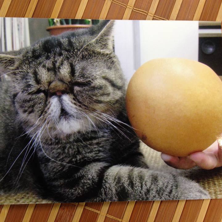 12871cfb a084 4aa9 8b36 1260c2a439b9