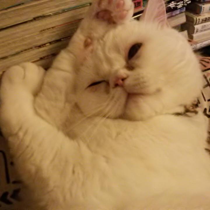 128754a6 5aa5 416a a7d2 9c3f4e962768