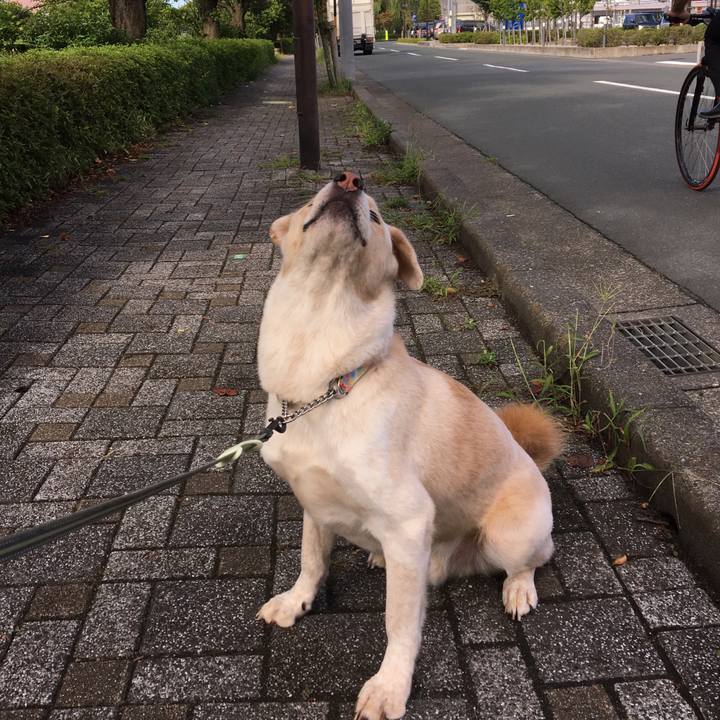 1287b89e 3dc5 48af ae31 b7b16300492f