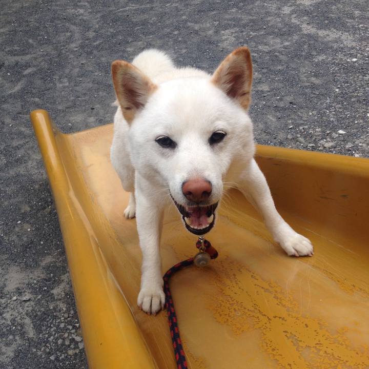 1288421e 4556 495b beb1 93c46596fbd2