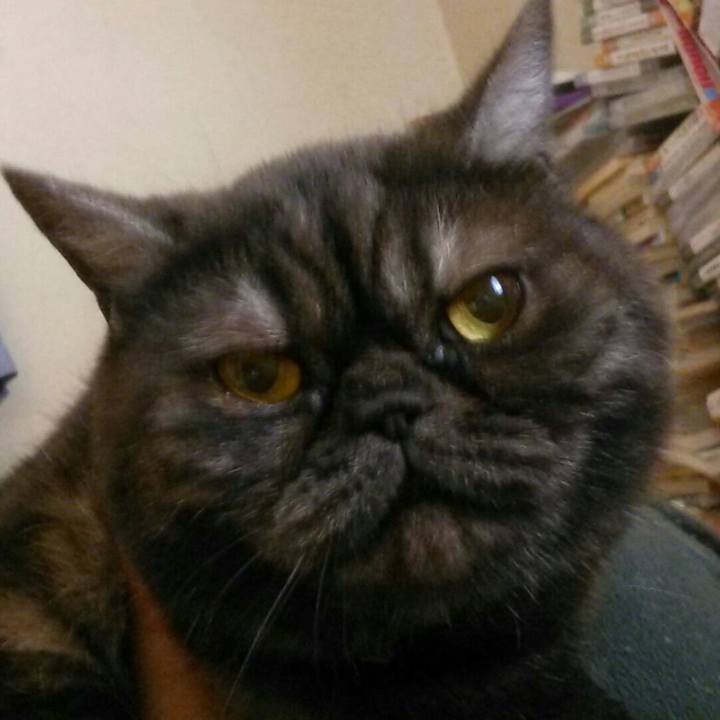 1288ae85 90c3 47e5 878a e49b17381f0b