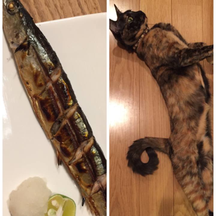 1288b7f8 3f38 435c 9578 56b43e77ab0c