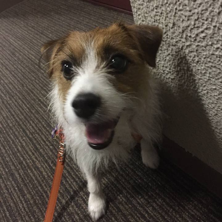 1288eb2e 8873 4473 975f ed879b5b56d3