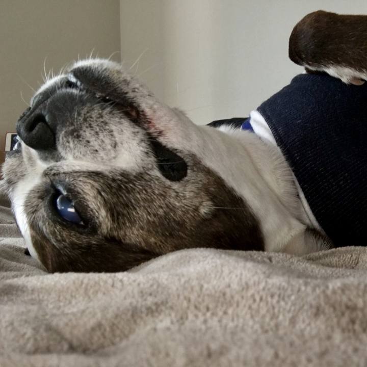 12896eb5 5835 413c bd2b 8a5dde17c051