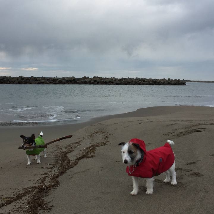 1289ad19 ae4c 4448 a304 49552f0c7e9f