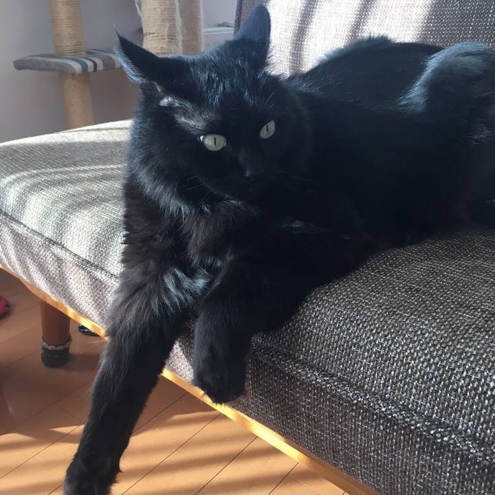 128a7446 fb1e 472e b8bd a9d57b916096