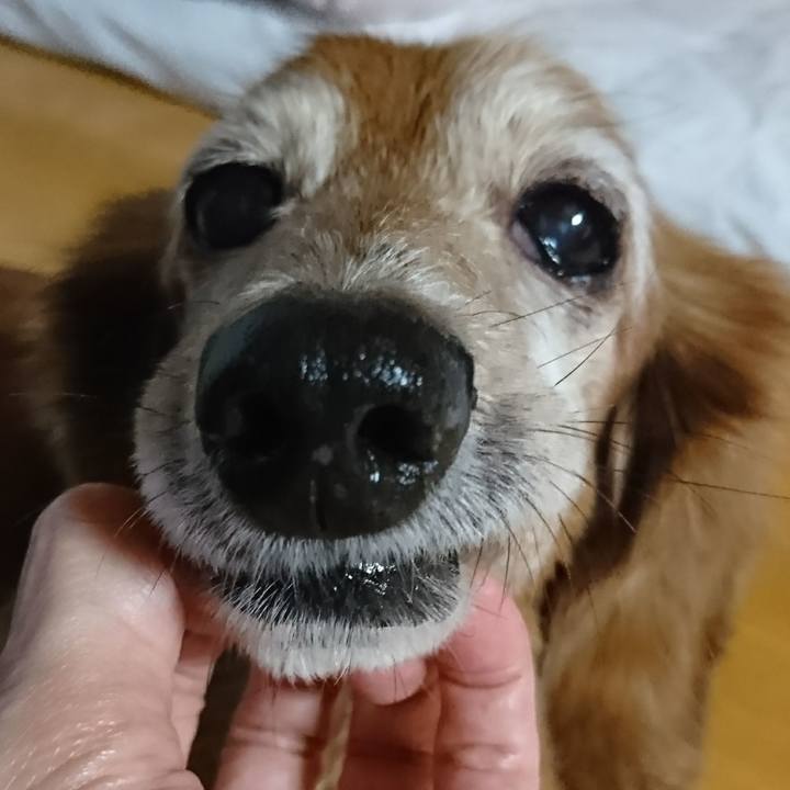 128a81d0 2479 46a9 9d6d 2986bf19d015