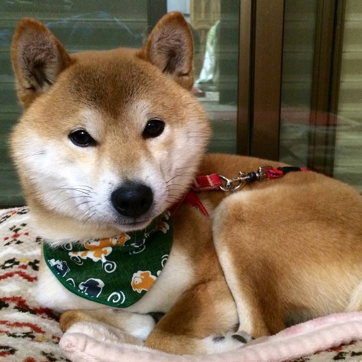 128ad339 f369 45d7 a2bc 7cf84d4b0d38