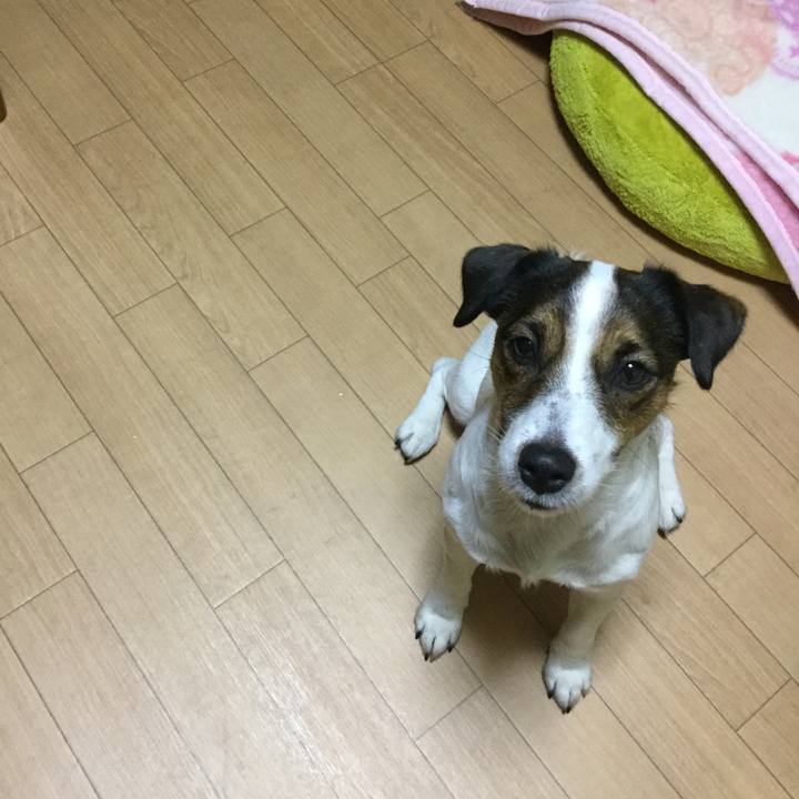 128ad345 d4c0 45aa 822d b60620fc4b55