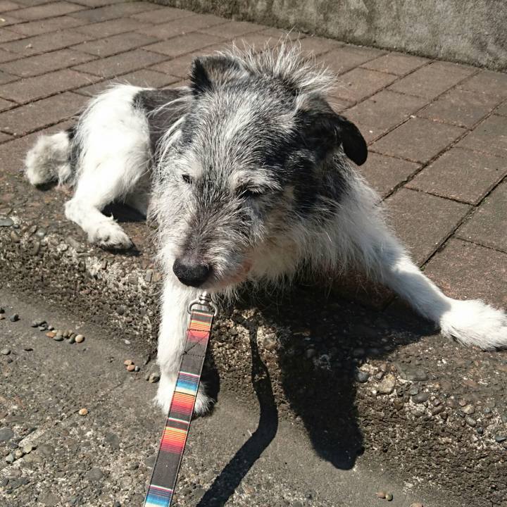 128af156 bad4 4558 94ce f18eb1e8758d