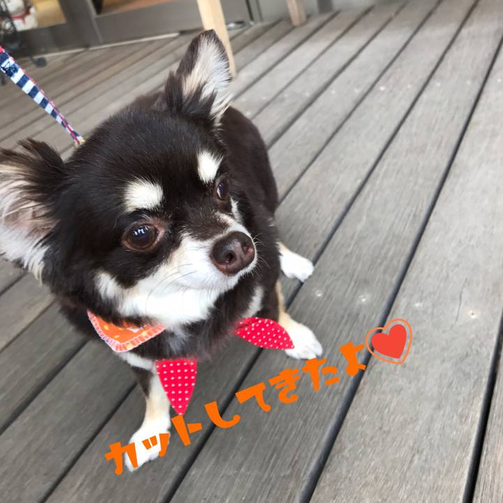 128c903d f320 43ae 9859 be4b7fadec76