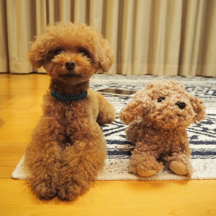 128d465a 68f9 47e8 906a 9c888c8be677