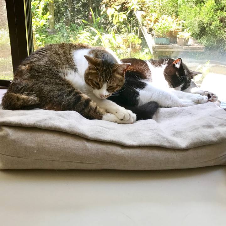 128e5eec 90e0 41bd b2b9 5438a4b2c42b