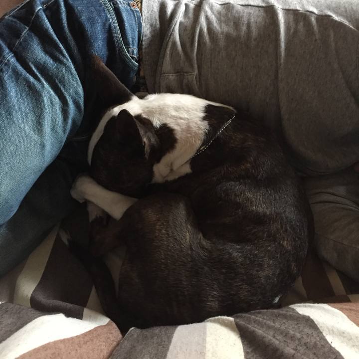 128ee093 632b 488a aa55 ae3de41f4bb7