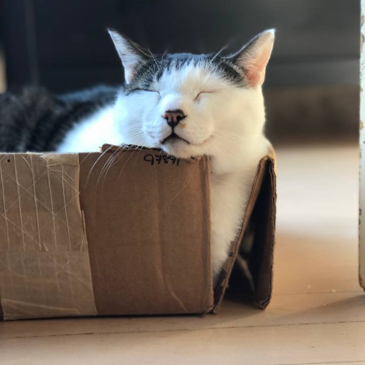 128f02f9 8bf5 488f a8c1 30a1b6165068