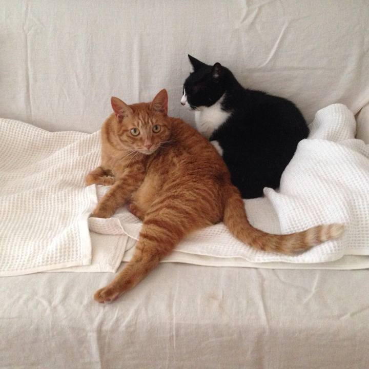 128f1ad2 bf3d 4e9e 80f0 740c35439095