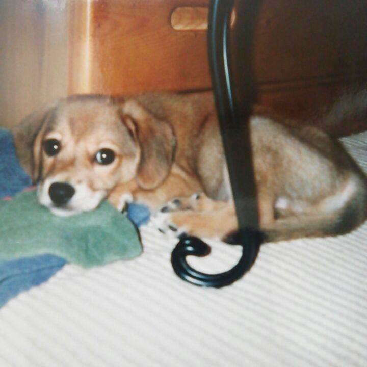 128f2bb4 5d7f 47a5 a7d4 d3e61f673cf4