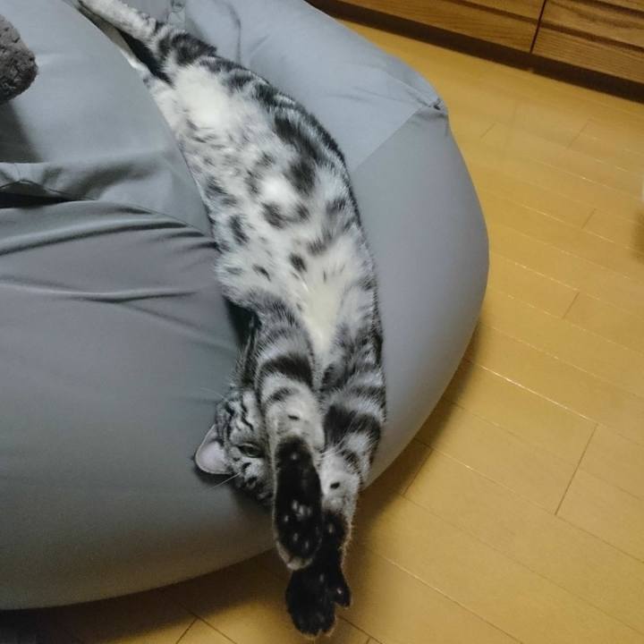 128fcbb9 1eeb 428d a98f 45b16dbab31a