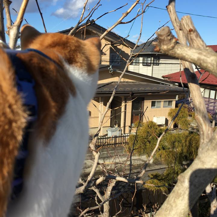 128fec21 3e2c 4f1a b69b f3ecc7d4386c