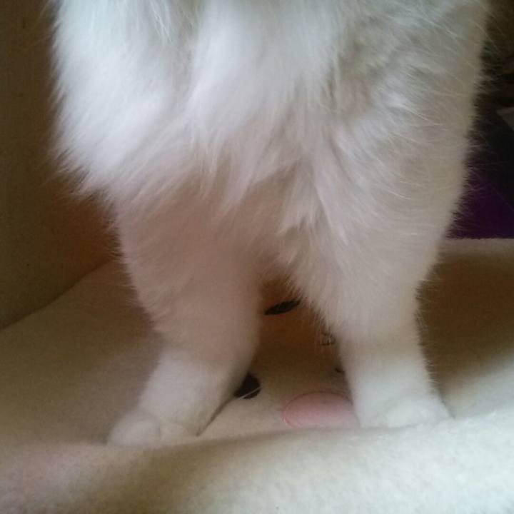 129012a6 e790 4794 ad23 6c5f7bd95ea3