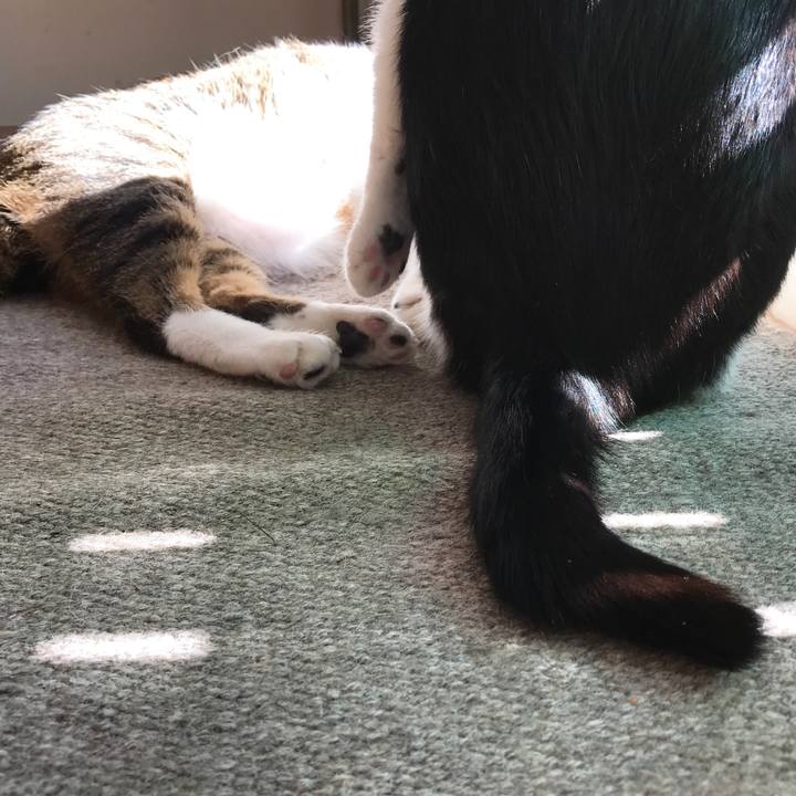 1290a249 bcb5 4a94 afbf 31144683b344