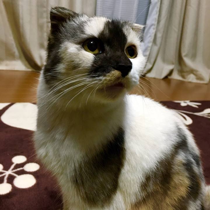 1290b206 9c64 41a3 8a06 763d7b347be4