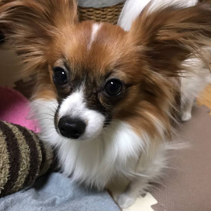 1290e24d c073 4aae b828 3de2e742a5c0