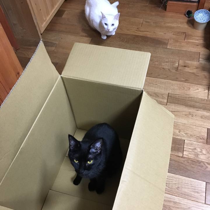 12910681 2c9e 4cfd 8358 625f0988cfa1