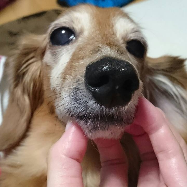 12916021 de83 4d00 b2c7 9bd41a2d6ea4