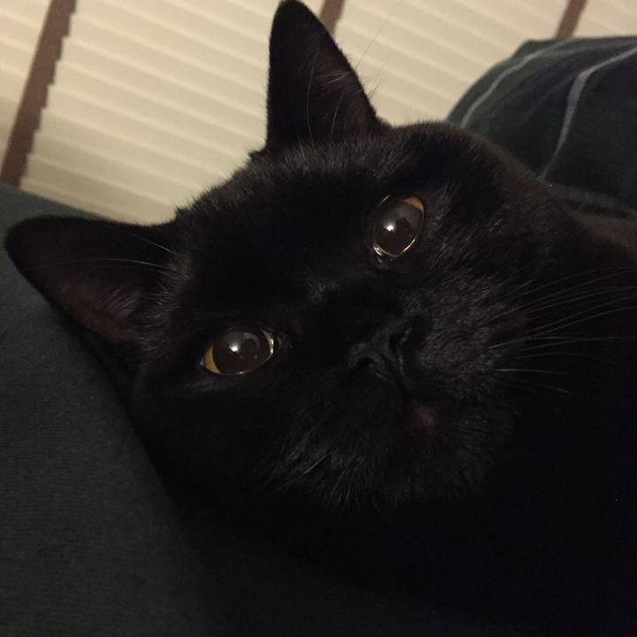 12916b9a debb 43b1 9aa2 4f844a665d6a