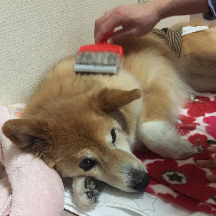 12917e28 c4f7 41a6 a80d ced8a79d7975