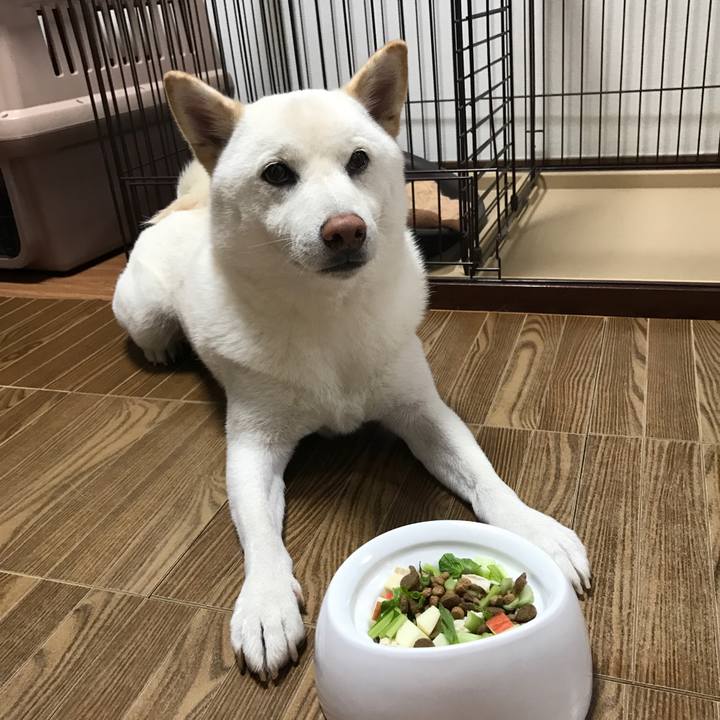 1291a299 1e97 467c b6c6 dd98d8237507