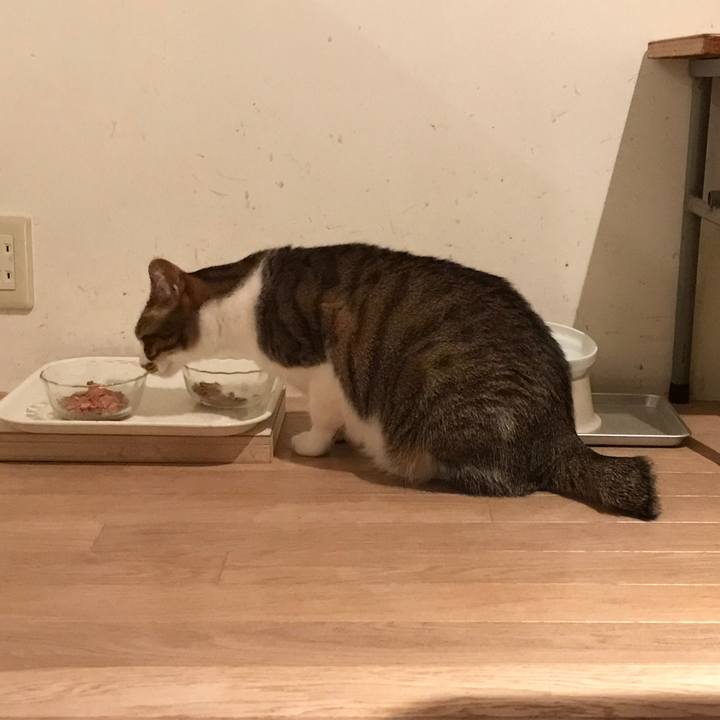 1291a916 39ad 4f1e b321 a2703a94e3a2